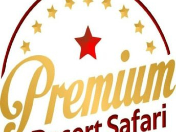 Premium Desert Safari