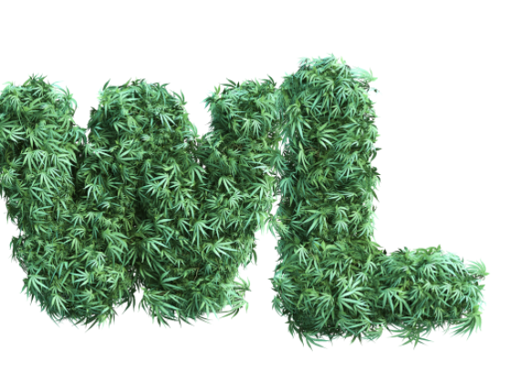 Free Weed Classifieds CoOp https://www.weedslists.com