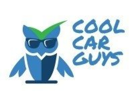 Cool Car Guys
