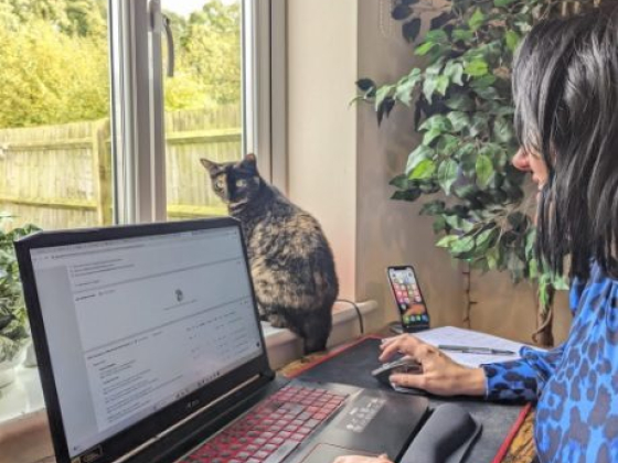 Pixie Greatorex Freelance copywriting