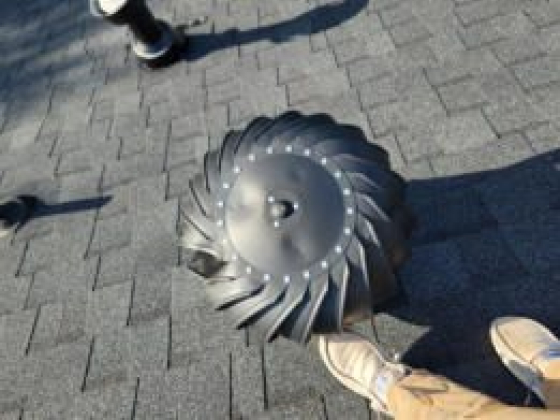 Blue Ox Roof Company