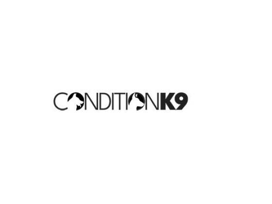 Condition K-9 Dog Training