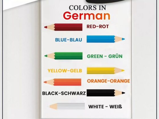 N-able German Language Institute in Kochi