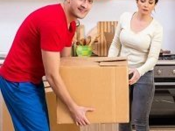 Webster Moving Boynton Beach - Local Movers