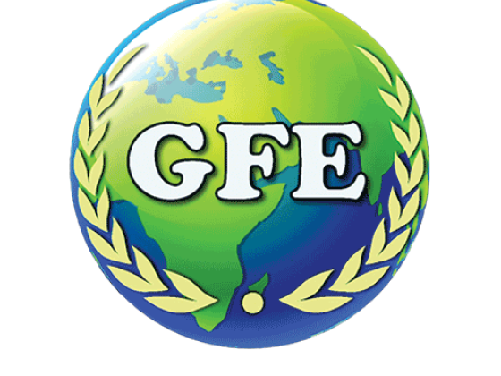 GFE Business Services Pvt. Ltd.