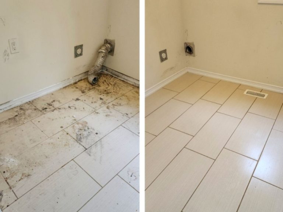 Hellamaid Cleaning Services Guelph
