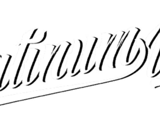 Platinum Ink Tattoo & Body Piercing