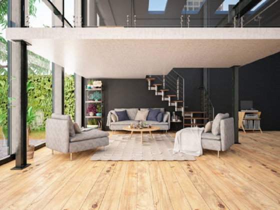 DMC Professional Deep Cleaning Services