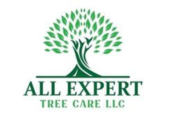 All Expert Tree Care