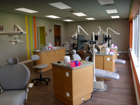 Orthodontic Experts Rockford