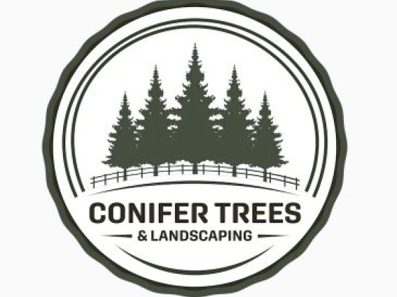 Conifer Trees & Landscaping