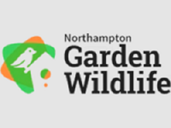 Garden Wildlife