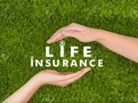 Xenia Houser Independent Licensed Insurance Agent