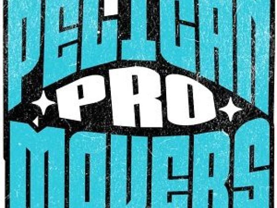 Pelican Pro Movers LLC