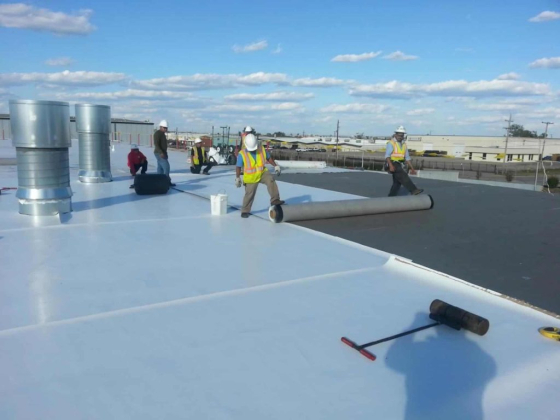 6D Roofing LLC
