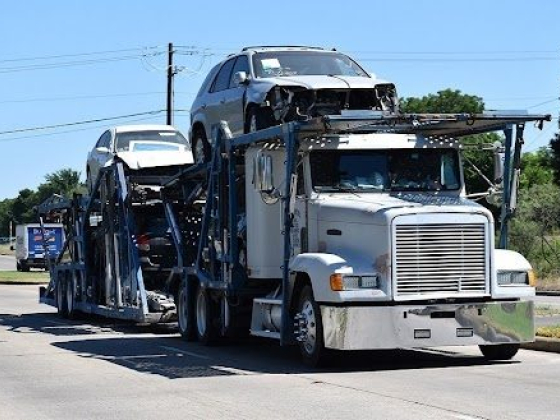 Bold Auto Transport LLC