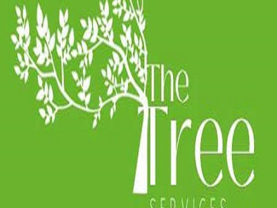 The Tree Services Morisset