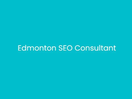 Edmonton SEO Consultant