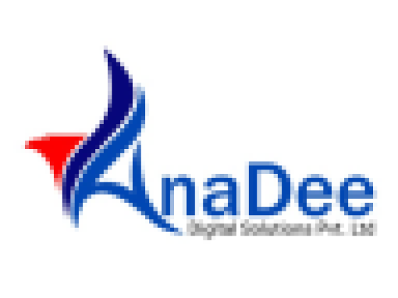 Best Website Designing Company in Delhi NCR | Anadee Digital Solutions