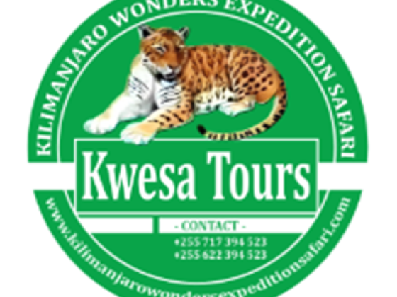 Kwesa Tours