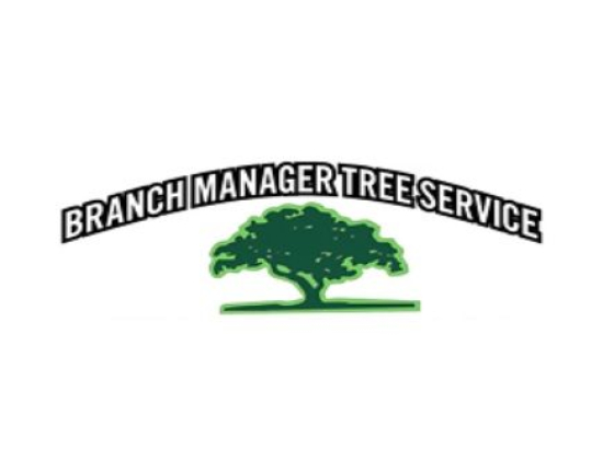 Branch Manager Tree Service