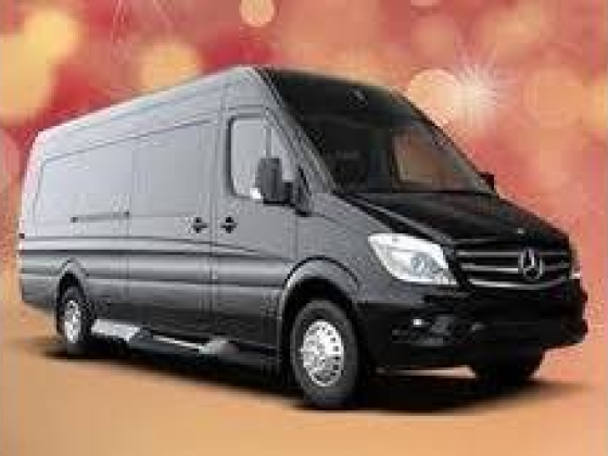Party Bus In Brooklyn