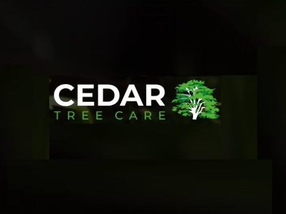 Cedar Tree Care Ltd