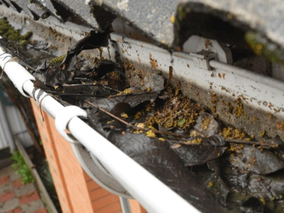 Affordable Gutter Installation Near Me