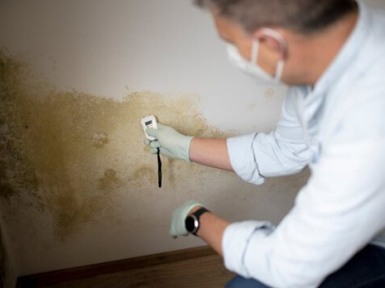 Restoremasters Water Damage & Fire Restoration