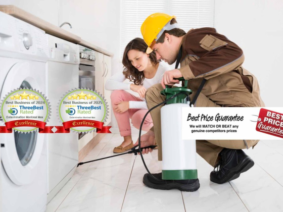 Extermination Montreal Max