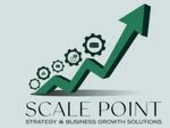 Scale Point Strategy & Business Growth Solutions |Best Google My Business Profile management agency|