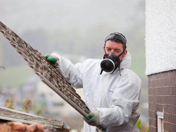 Superior Disaster Cleanup
