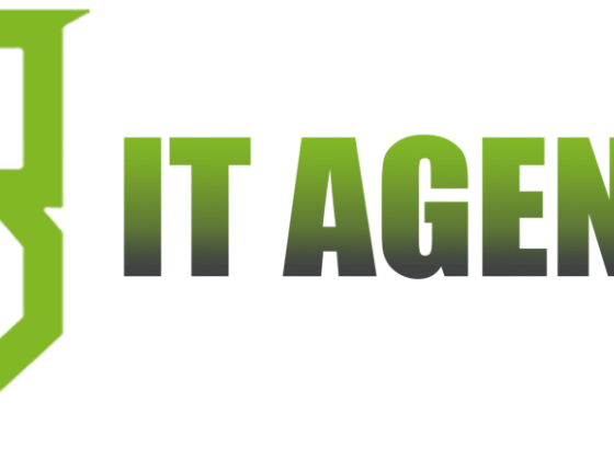 RB IT Agency US