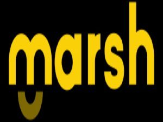 Marsh Paint Co