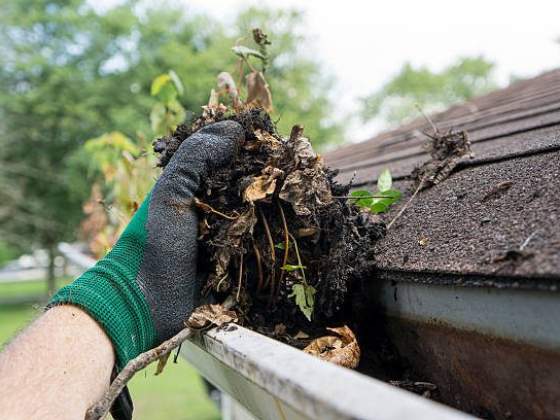Roof Gutter Cleaning Geelong