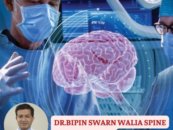 Dr.Bipin Swarn Walia