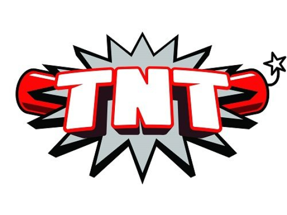 TNT Removal & Disposal LLC