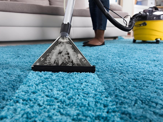 Shiny Cleaning