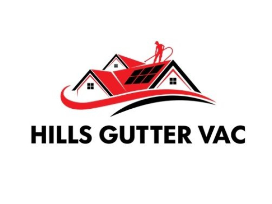 Hills gutter-vac