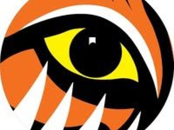 TigerTurf Australia