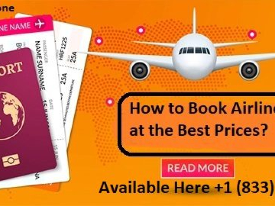 Delta Airlines Reservation Policy