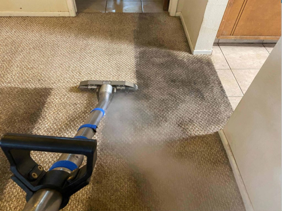 Rapid Restoration Texas