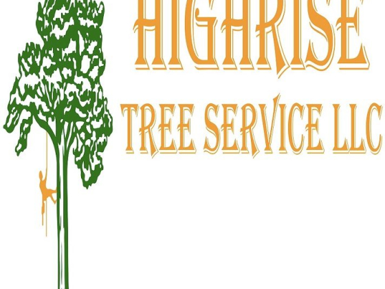 Highrise Tree Service