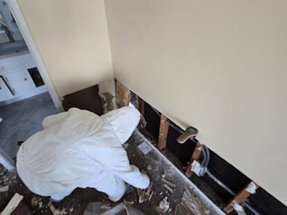 SunTrust Restoration