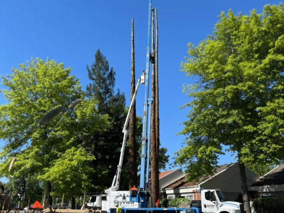 SkyView Tree Experts