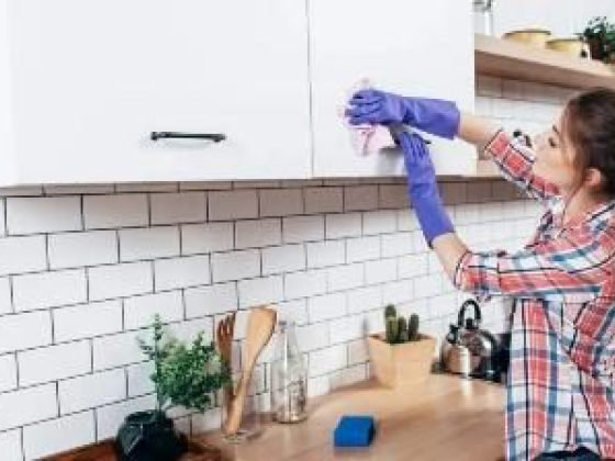 Hometress Cleaning of Chicago