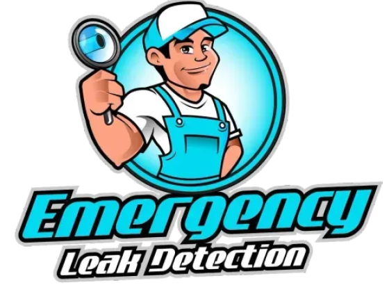 Emergency Leak Detection