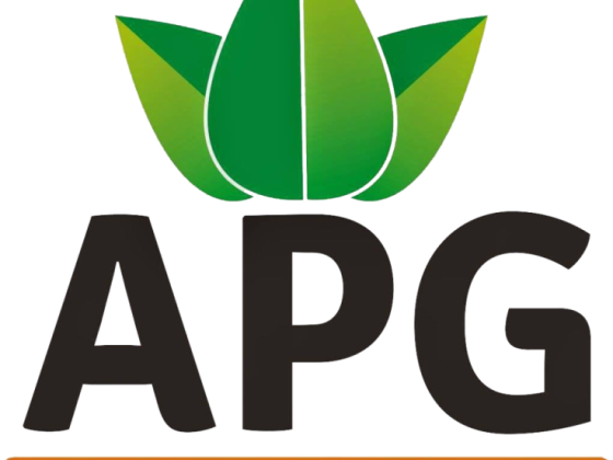 APG Gardening LTD - Landscaper in St Albans
