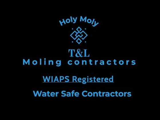 T&L Moling Contractors