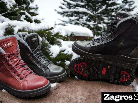 Zagros Shoes